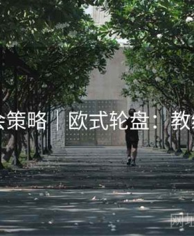华体会策略｜欧式轮盘：教练视角