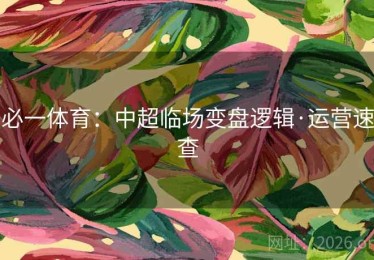 必一体育：中超临场变盘逻辑·运营速查