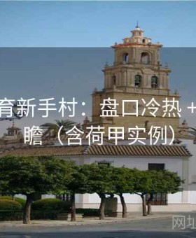 半岛体育新手村：盘口冷热 + 赛季前瞻（含荷甲实例）