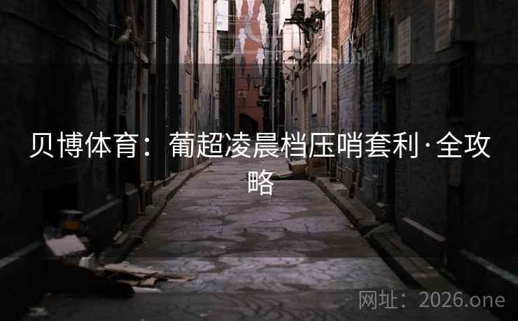 贝博体育：葡超凌晨档压哨套利·全攻略