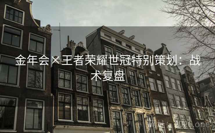 金年会×王者荣耀世冠特别策划：战术复盘